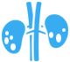 Epic Urology Clinic - Chennai